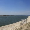 img_4294_000.jpg