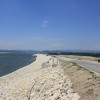 img_4299_000.jpg