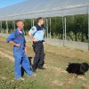 policisti_poljscine_psi.jpg