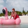 flamingo.jpg