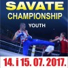 sp_savate_assault_junior_2017_03.jpg