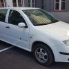občina Trbovlje škoda.jpg