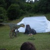 dinozaver 10.jpg