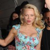 pamela anderson
