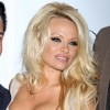 pamela anderson