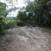 dsc04544.jpg