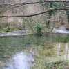 img_7856_000.jpg