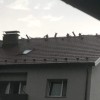 neurje streha 3.jpg