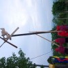 klopotec_017.jpg