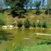 ribe_blato08.jpg