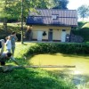 ribe_blato01.jpg