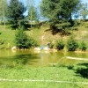 ribe_blato09.jpg