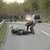 motorist.jpg