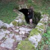img_5635.jpg