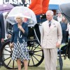 camilla in charles.jpg