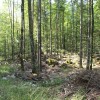 jamarski_tabor07.jpg