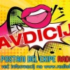 avdicija71.jpg