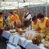 ceska_005.jpg