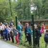 dobrodelni_tek_015.jpg