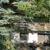 img_6142_4_1_000.jpg