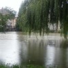 kostanjevica_12.jpg