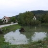 img_6234_000.jpg