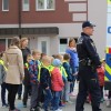 dan_brez_avtomobila_019.jpg