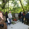 _zimg_4916_000.jpg