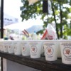 bevann cup