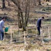 9_zalivanje_sadik_30_3_2017.jpg