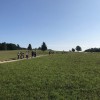 festival_sporta01.jpg
