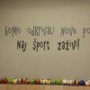 sportna_dvorana_mirna_pec23.jpg