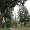 img_5763.jpg