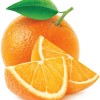 cvetna mesanica pomaranca.jpg