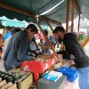 img_6806_22_1_000.jpg