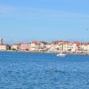 dsc_6898_000.jpg