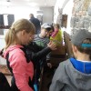 reka_krka06.jpg