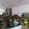reka_krka07.jpg