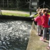 reka_krka05.jpg