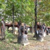 strokovno__06_.jpg