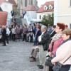 zdravljeni_v_zavetju_gozda___01.jpg