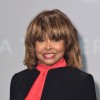 tina turner.jpg