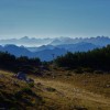 dsc01612_000.jpg