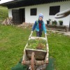pp1150232.jpg