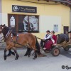 _tmlada_portugalka_2017__01_.jpg