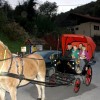 img_7248_000.jpg