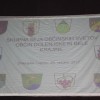 cerod06.jpg