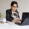 beautiful-young-business-woman-working-her-dog-office-looking-laptop-smiling-85980469.jpg