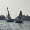 _regata__09_.jpg