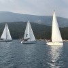 _regata__08_.jpg